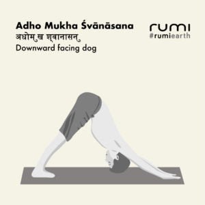 ADHO MUKHA ŚVĀNĀSANA (Downward Facing Dog)